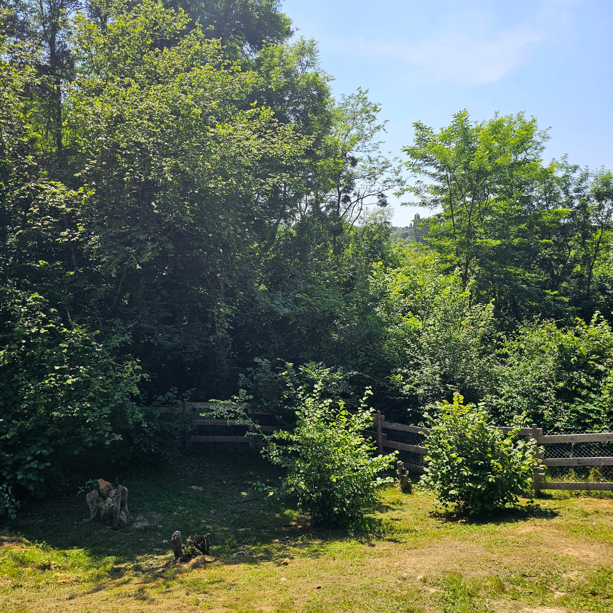 La Colo des Labassères - Photo 12