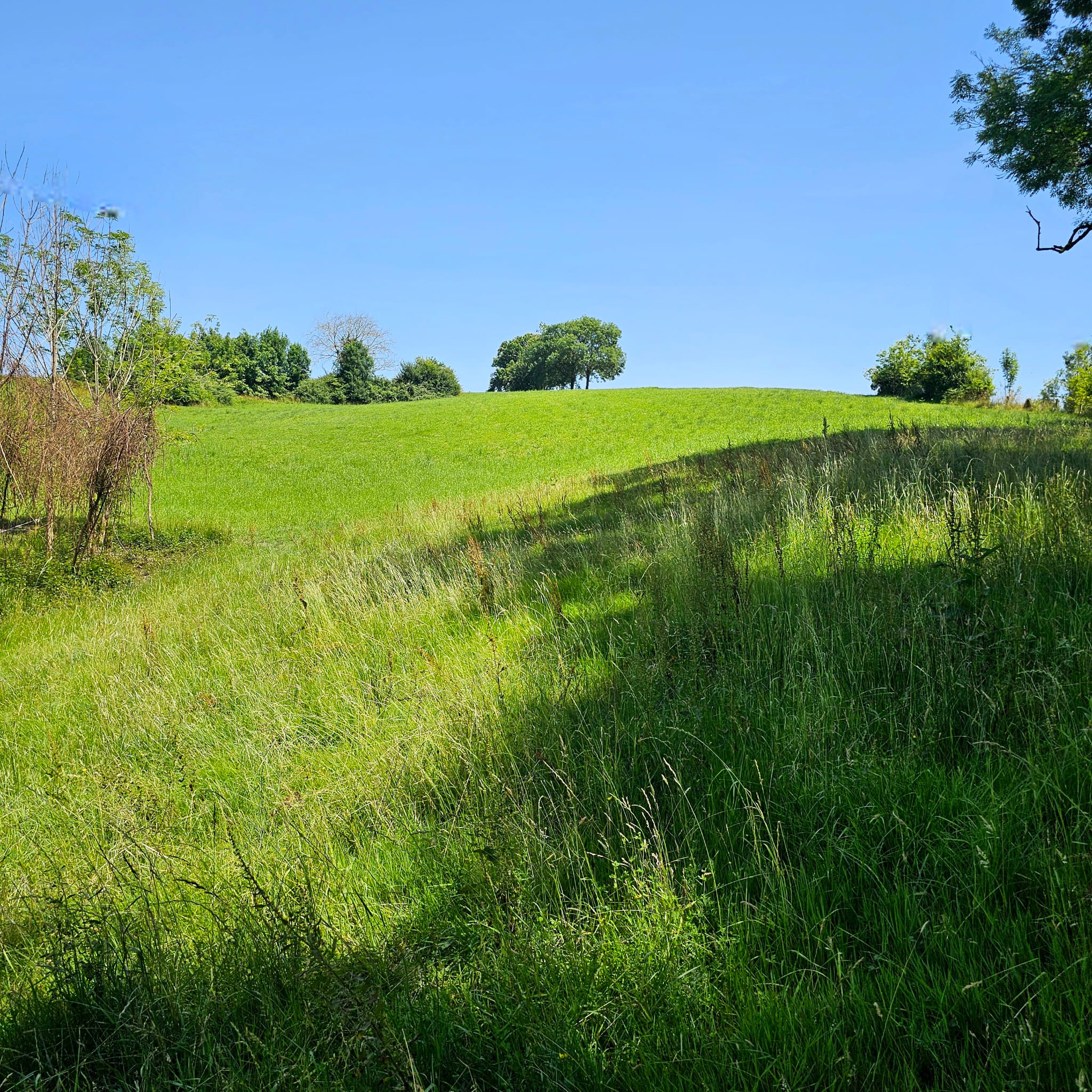 La Colo des Labassères - Photo 14