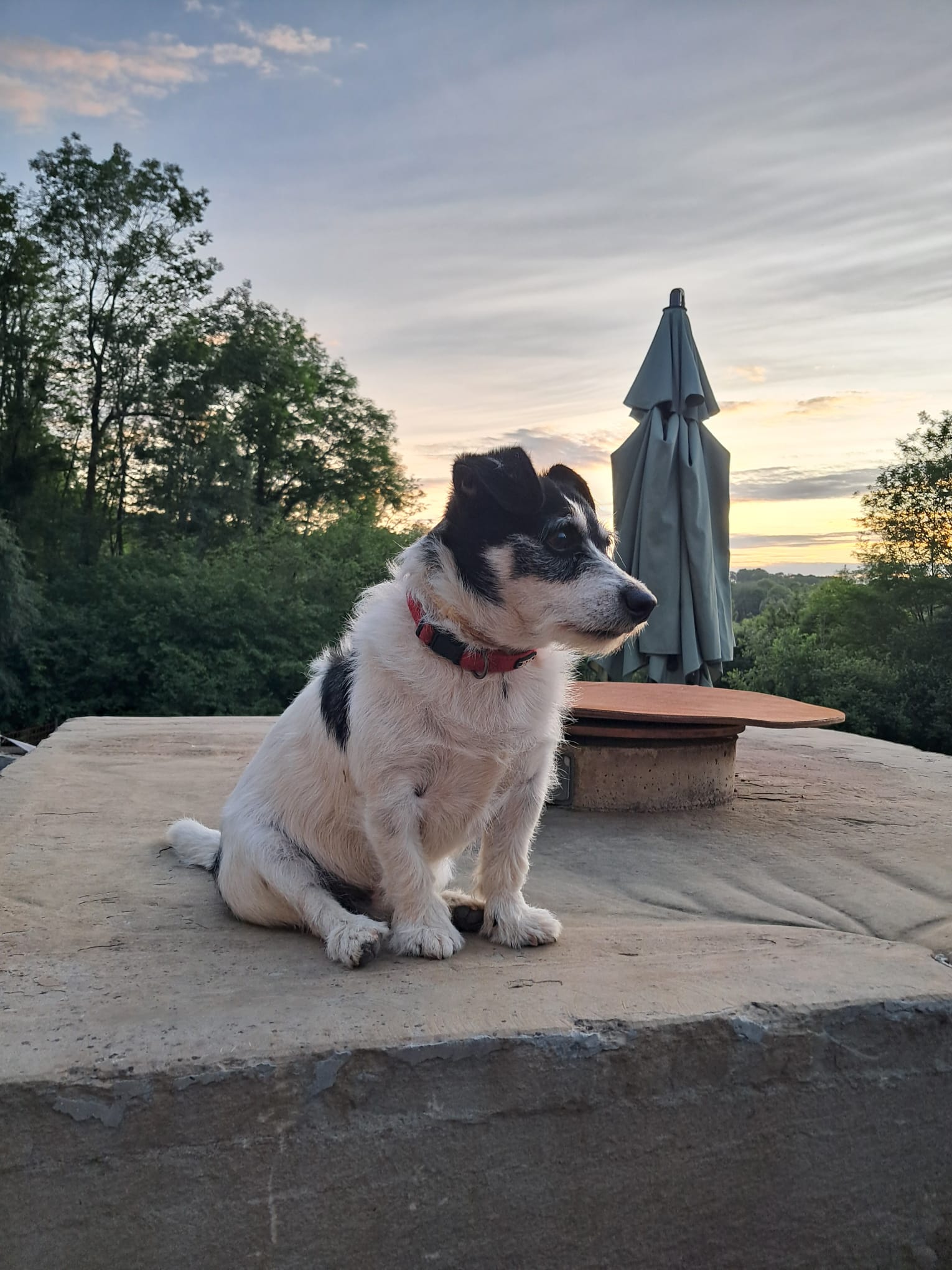 La Colo des Labassères - Photo 16