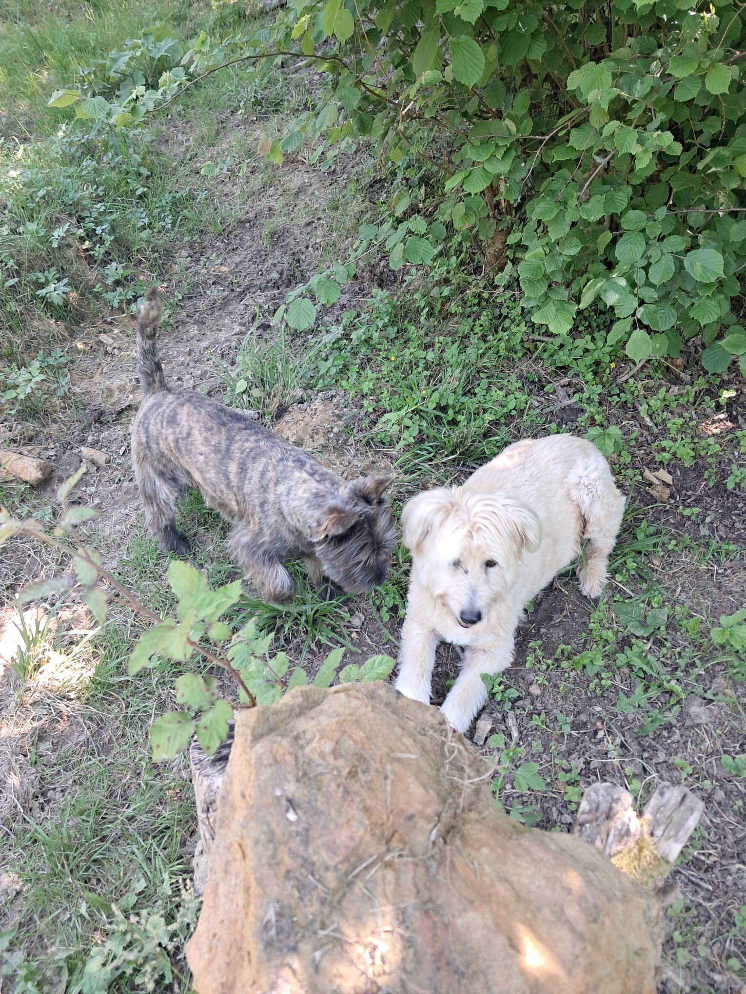 La Colo des Labassères - Photo 17