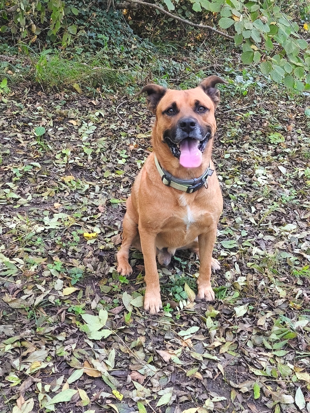 La Colo des Labassères - Photo 19