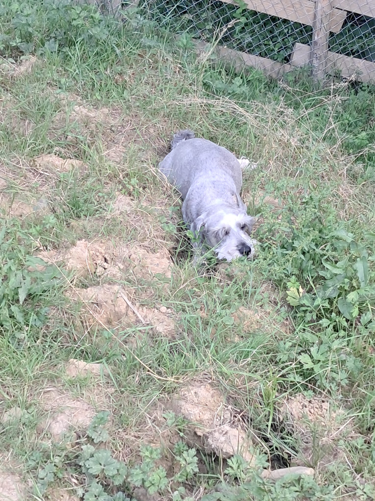 La Colo des Labassères - Photo 2