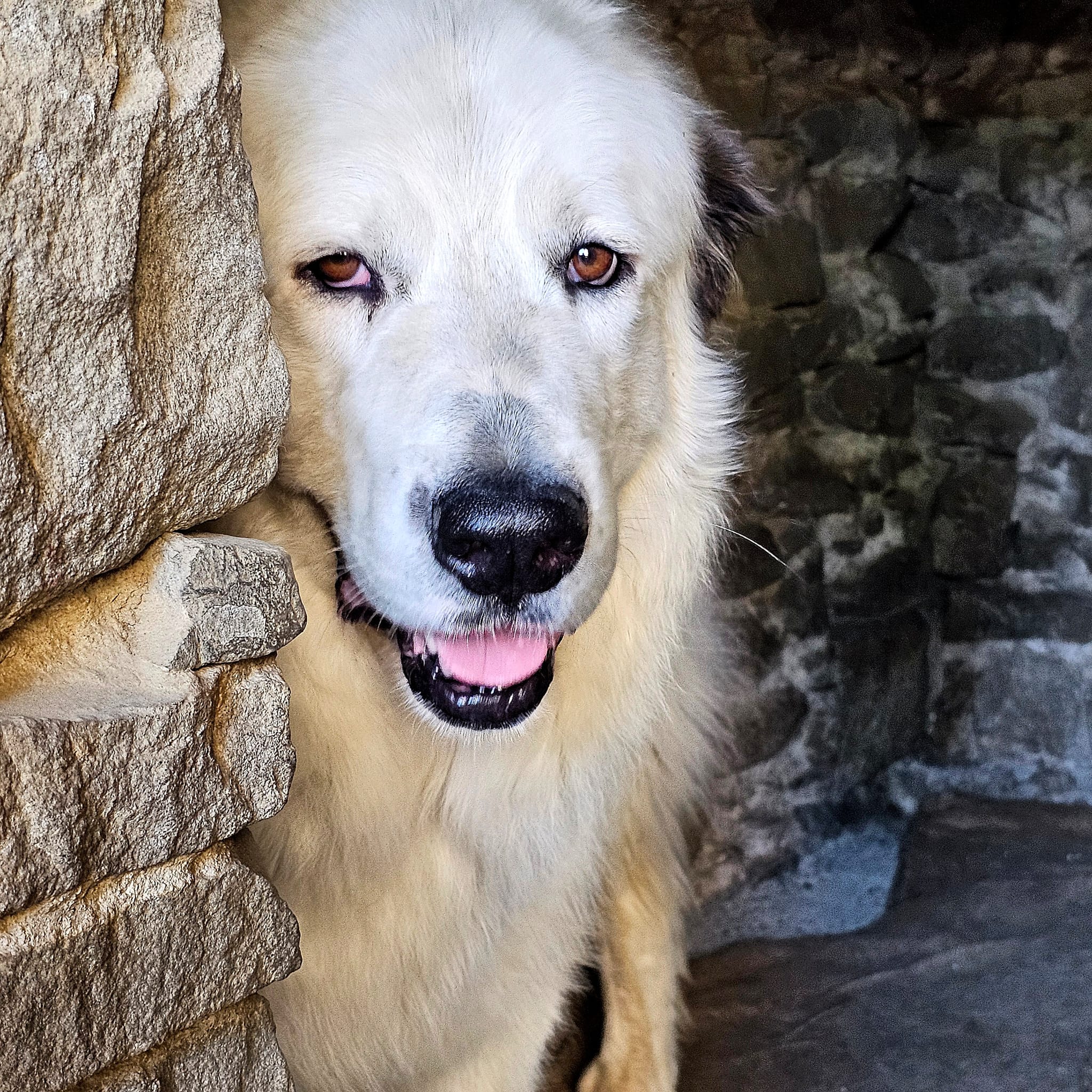 La Colo des Labassères - Photo 5